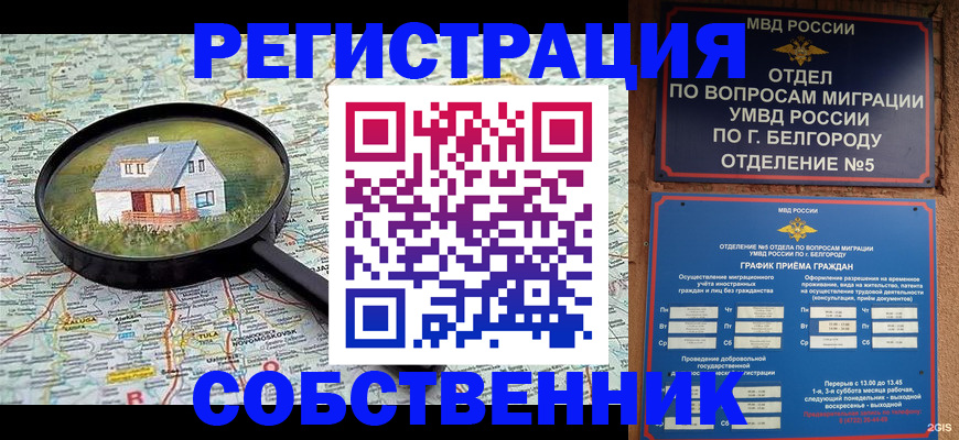 регистрация для школы в Луге